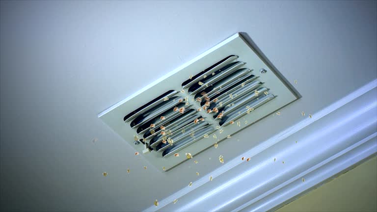 Home Air Vent Cleaning in Mount Vernon, MO