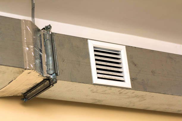 Air Duct Mold Removal in Mount Vernon, MO